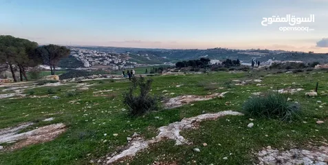  2 أرض مميزة للبيع في دورا – 1125م2 – موقع مرتفع وخدمات كاملة قريبة من الأرض