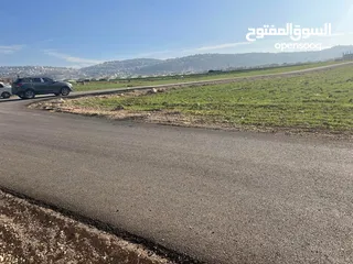  3 ارض للبيع عين الباشا