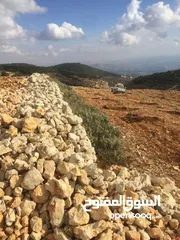  20 فرصة استثمارية! أرض زراعية مميزة بسعر مغري و بالقرب من أحراش الدولة للمزيد من المعلومات اقرأ الوصف