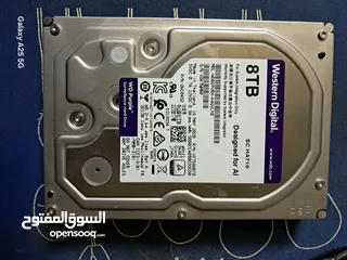  1 western digital  8TB
