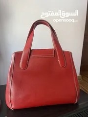  3 شنته bogner اصلية 100٪؜