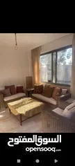  10 شقه فارغه للايجار - 2 غرف نوم + طابق ارضي  250 شهري