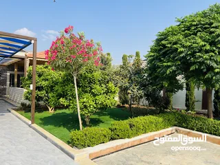  5 مزرعه الريان عمان منطقة ناعور تبعد 15 دقيقه عن الدوار السابع