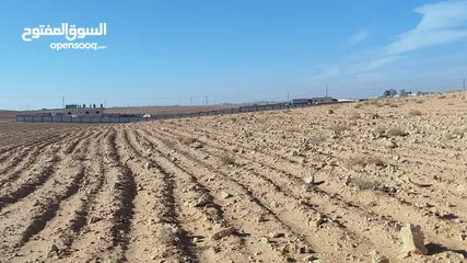  5 ارض للبيع في الموقر لبناء شاليهات أو مزرعة ريفية أو للسكن