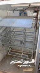  2 فقاسه 1056 بيضة نسبه التفقيس ٪؜90