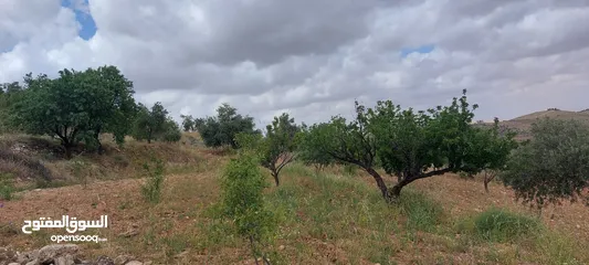  9 أرض جميله جدا في جرش ثغره عصفور وإطلاله جميله جدا 3.400م