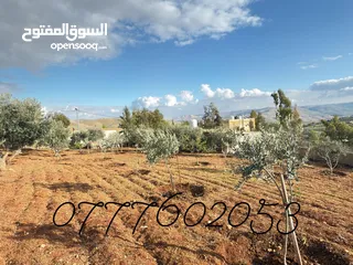  15 مزرعة لقطة مميزة مع بيت طابقين مطلة ومرتفعة