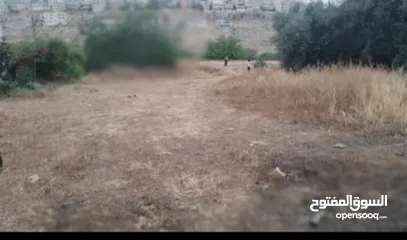  3 قطعة ارض 533 متر بسعر مغري