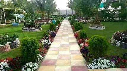  6 زراعه وصيانه الحدائق والمزارع