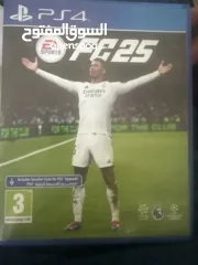  1 سيدي فيفا 2025