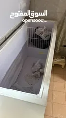  6 فريزر بحاله جيده جدا للبيع منطقة بوقوه الحجم كبير جدا