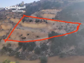  2 ارض للبيع 1000 متر طابو ابو نجيم