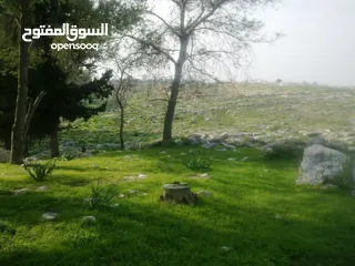  6 1000 متر مربع في اكتابا للبيع