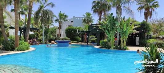  5 Sharm el Sheikh, Delta Sharm resort. One bedroom apartment for sale