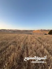  7 ارض للبيع في طبربور مستوية  بقوشان مستقل