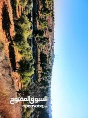  14 أرض للبيع مساحة 4500م2 قوشان مستقل جرش