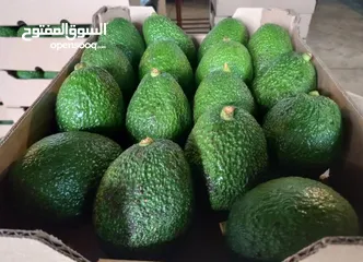  1 Hass Avocados
