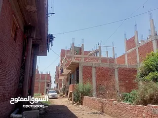  15 حياه كريمه