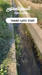  13 مزرعة مميزة في   البحاث و وادي الشتاء السياحي على اعلى قمة و مخدومة بالكامل ومروية من نبع البحاث