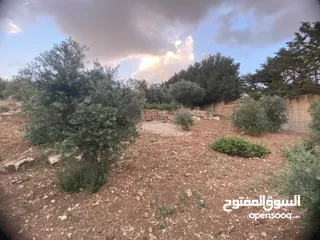  9 للبيع: أرض بإطلالة خلابة وموقع هادئ في دابوق من المالك مباشرة فيها منسوب