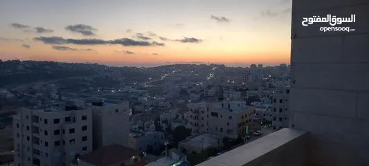  12 شقه للايجار