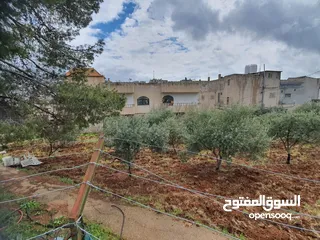  12 عمارة تجارية و سكنية  في جرش للبيع العمارة على شارعين    شارع رئيسي و شارع فرعي في منطقة حيوية