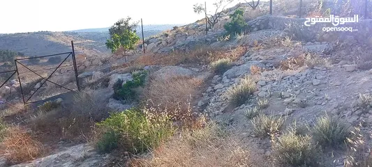  1 ارض للبيع اربد اسعره