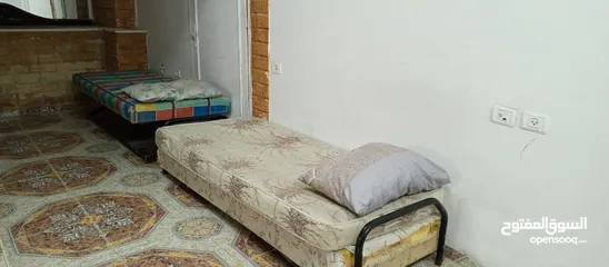  12 شقة شبه استديو