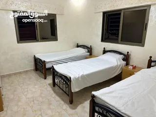  12 شاليه للايجار اليومي في الغور منطقة الروضه تم الافتتاح واسعار باذن الله مميزه