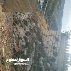  10 ارض 500م2. كوشان طابو اراضي صره دخلة فندق يلدز  اطلاله يصلها شارع ترابي بسعر مغري