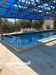  6 مزرعة للإيجار للعائلات فقط في عمان,تركي مطلة على البحر الميت و الضفة الغربية