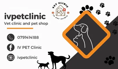  6 عياده Iv pet clinc