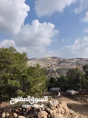  1 أرض للبيع في الصفا ذات اطلالة على الأحراش