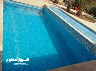  2 مزرعة للبيع الغور