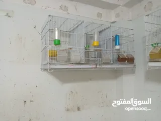  4 مطاير للبيع