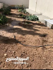  27 منزل شبه فيلا مساحته 150م طابق واحد مستقل حديث البناء قرب فلل الاندلسية طريق مادبا للايجارمن المالك