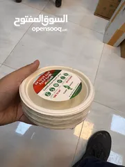  6 Selling plates made of sugarcane( The new generation of disposable containers)