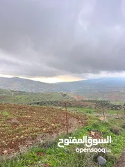  7 ارض للبيع 3500 متر واصل الخدمات اطلاله رائعة  منبسطة