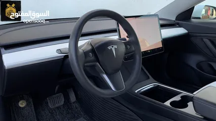  9 Tesla Model 3 2021 Stander Plus