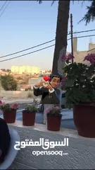  7 فيلا بالصلاة على النبي موقع مميز جدأ على ثلاث شوارع بالقرب من مستشفى ايدون العسكري
