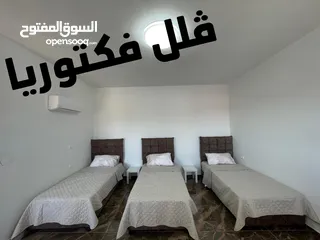  9 ڤلل فكتوريا