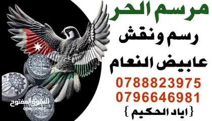  2 رسم ونقش عابيض النعام