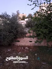  4 أرض للبيع بمساحه 678:340 متر عليه بيت قديم 100م يوجد فيها أشجار الزيتون وتوت وتين ولمون وعنب على شار