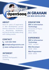  4 I will create a best CV for you with your choice and with low price just Send me your information