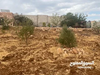 13 قفقفا 13 دنم منطقة مزارع وشاليهات وطبيعة خلابة مسيجة جدار حجر