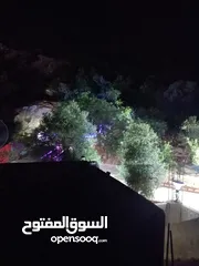  29 شقق مفروشه للايجار اليومي ومزارع واكواخ  ومسابح مع اجمل الاطلالات خصوصيه كامله