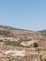  1 5300م حوض الروضه حوض المصدار بسعر لقطه طاله على سيل حسبان