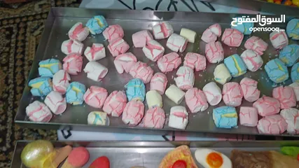  10 ماكنت تجفيف بتبريد