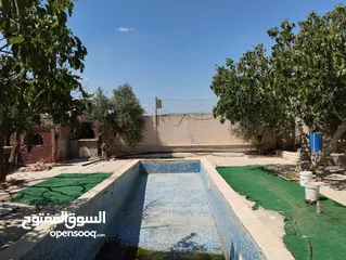  3 مزرعة للبيع ام العمد