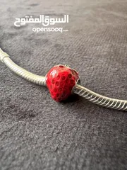  6 Pandora Charms Collection - Roza Accessories- كولكشن التشارمز من باندورا